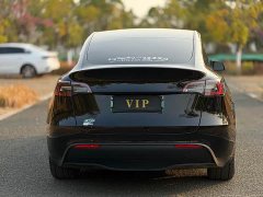 Tesla Model Y Rear-Wheel Drive - ფოტო 8
