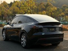 Tesla Model Y Rear-Wheel Drive - ფოტო 9