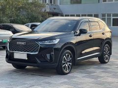Haval H6 1.5T Two-Wheel Drive Pro - ფოტო 1