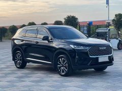 Haval H6 1.5T Two-Wheel Drive Pro - ფოტო 3