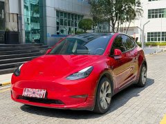 Tesla Model Y Long Range All-Wheel Drive - ფოტო 1
