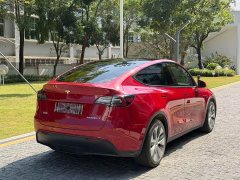 Tesla Model Y Long Range All-Wheel Drive - ფოტო 10