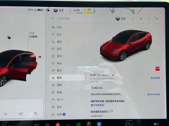 Tesla Model Y Long Range All-Wheel Drive - ფოტო 5
