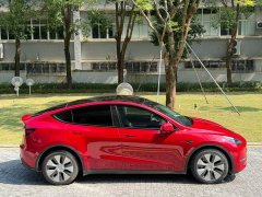 Tesla Model Y Long Range All-Wheel Drive - ფოტო 7