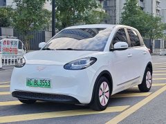Wuling Binguo 203km Light Enjoy Edition - ფოტო 1