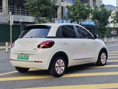 Wuling Binguo 203km Light Enjoy Edition - ფოტო 5