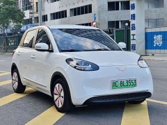 Wuling Binguo 203km Light Enjoy Edition - ფოტო 7