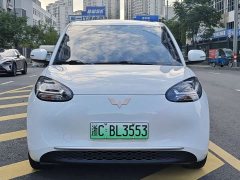 Wuling Binguo 203km Light Enjoy Edition - ფოტო 8