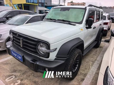 2021 Tank 300 Off-Road Edition 2.0T Conqueror - ავტომობილი ჩინეთიდან