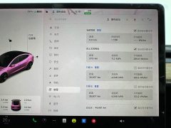 Tesla Model 3 Facelift Standard Range RWD Upgrade 3D1 - ფოტო 10