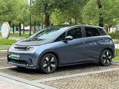 BYD Dolphin Glory Edition 401km Knight Edition - ფოტო 1