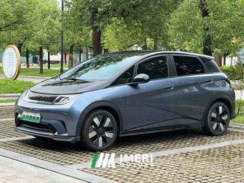 2024 BYD Dolphin Glory Edition 401km Knight Edition - ავტომობილი ჩინეთიდან