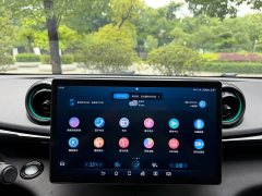 BYD Dolphin Glory Edition 401km Knight Edition - ფოტო 10
