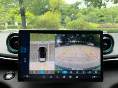 BYD Dolphin Glory Edition 401km Knight Edition - ფოტო 11