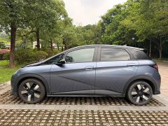 BYD Dolphin Glory Edition 401km Knight Edition - ფოტო 13