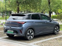 BYD Dolphin Glory Edition 401km Knight Edition - ფოტო 14