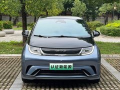 BYD Dolphin Glory Edition 401km Knight Edition - ფოტო 2