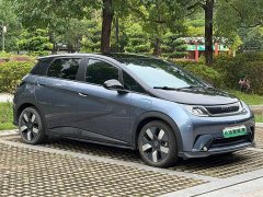 BYD Dolphin Glory Edition 401km Knight Edition - ფოტო 3