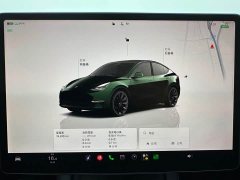 Tesla Model Y Rear-Wheel Drive - ფოტო 14