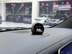 NIO ES8 Six-Seat Executive Signature Edition - ფოტო 10