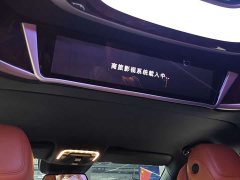Ferrari Ceetah 2.0T Bach MH7 7-Seater - ფოტო 19