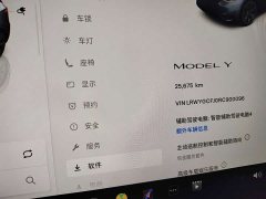 Tesla Model Y Rear-Wheel Drive - ფოტო 8