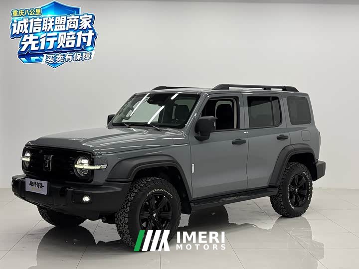 Tank 300 2021 Off-Road Edition 2.0T Conqueror - ავტომობილი ჩინეთიდან