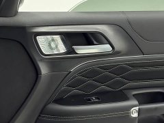 Tank 300 2021 Off-Road Edition 2.0T Conqueror - ფოტო 10