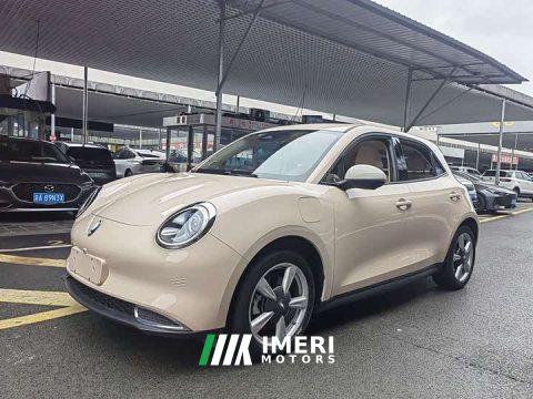 2021 ORA Good Cat 400km Standard Range Venus Edition LFP Battery - ავტომობილი ჩინეთიდან