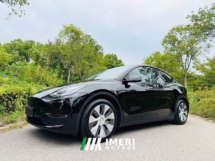 Tesla Model Y Standard Range RWD - ავტომობილი ჩინეთიდან
