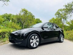 Tesla Model Y Standard Range RWD - ფოტო 1