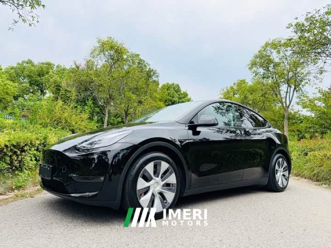 2021 Tesla Model Y Standard Range RWD - ავტომობილი ჩინეთიდან