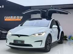 Tesla Model X Dual Motor All-Wheel Drive - ფოტო 1