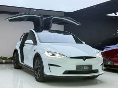 Tesla Model X Dual Motor All-Wheel Drive - ფოტო 3