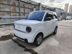 Geely Panda Mini 200km Endurance Edition - ფოტო 1