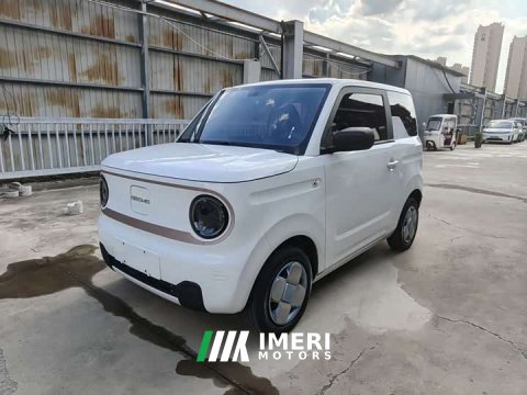 2023 Geely Panda Mini 200km Endurance Edition - ავტომობილი ჩინეთიდან