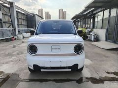 Geely Panda Mini 200km Endurance Edition - ფოტო 2