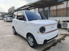 Geely Panda Mini 200km Endurance Edition - ფოტო 3