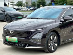 Wuling Xingguang 2024 Co-creation Edition 70 Standard - ფოტო 8