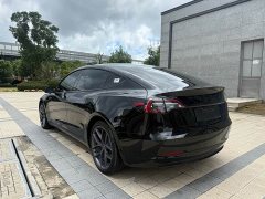 Tesla Model 3 Performance All-Wheel Drive - ფოტო 14