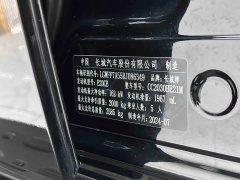 Tank 300 2.0T Conqueror - ფოტო 15