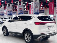 Haval H6 2021 National Trend 1.5T Automatic Champion Edition - ფოტო 6