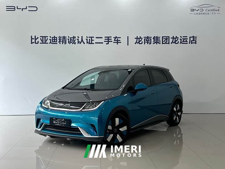 BYD Dolphin 401km Knight Edition - ავტომობილი ჩინეთიდან