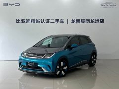 BYD Dolphin 401km Knight Edition - ფოტო 1