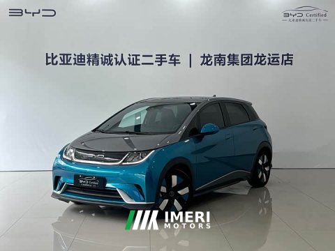 2023 BYD Dolphin 401km Knight Edition - ავტომობილი ჩინეთიდან