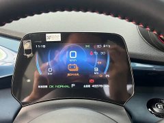 BYD Dolphin 401km Knight Edition - ფოტო 15