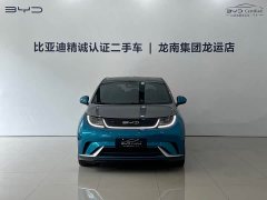 BYD Dolphin 401km Knight Edition - ფოტო 2