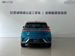 BYD Dolphin 401km Knight Edition - ფოტო 5