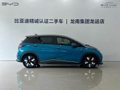 BYD Dolphin 401km Knight Edition - ფოტო 8