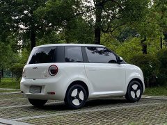 Changan Lumin 205km Xiangqin Edition - ფოტო 17